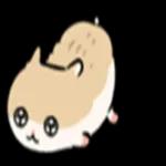 ハムスターの子
