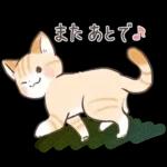 スナネコのサシャ 2