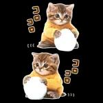 大きく表示♡冬にゃんこ