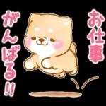 愛する人に感謝を送る❤️いやしばいぬ赤柴