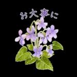 午後はちょっと休憩～～	前進の原動力😆😆😆
