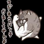 ニャー星人の楽園🤩🤩