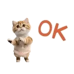 *dance! dancing Cat wearing shorts