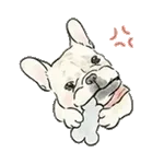 【動く】毎日使えるフレンチブルドッグ