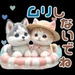 夏 猛暑 酷暑♡シベリアンハスキーとネコ