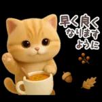 【３D】ネコ・秋　バラエティパック