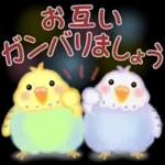 あなたの目には無限の優しさが映る🤩🤩