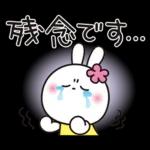 優しい2!!かわいい白うさぎ