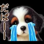 会話がはずむ日常メッセージ＊