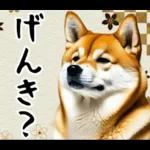 柴犬のあけおめスタンプ