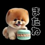 ずっと使える♡めちゃかわスイーツポメ