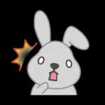 『ラヴィット！』ラッピー