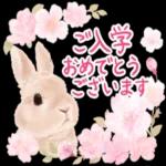 かわいらしい小さな花だ