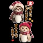 大きく表示♡冬にゃんこ
