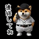 リアル野球しば犬