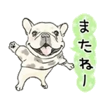 【動く】毎日使えるフレンチブルドッグ