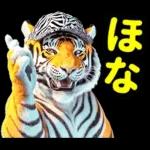 大阪神戸の野球好き虎ファン向け2