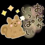 大人の気遣い♡31秋ふわり