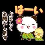 パンダ&ひよこ 真夏の長文