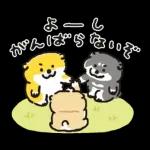むちころばんばん
