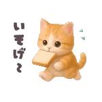 朝イチで開けてや💥　