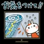 夏ー秋「白うさぎさん」