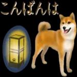 さすが！柴犬（よく使う言葉編２）
