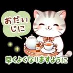 猫のつめあわせ【秋】