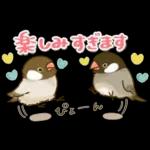 敬語が話せる！もふもふインコ