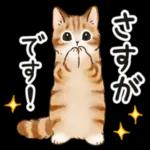  ゆっくり休んで、お大事にして。。。