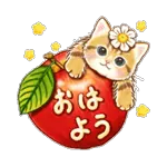 覚えていますか？😊😊