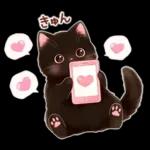 黒猫のつめあわせ♪