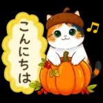 三毛猫のつめあわせ【秋】