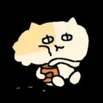 말수가 적은 고양이