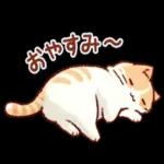 昼も夜も春も渡らず、夜も眠れない星。