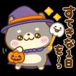 秋に役立つ♡豆柴日和