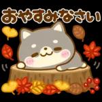 秋に役立つ♡豆柴日和