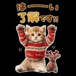 大きく表示♡冬にゃんこ