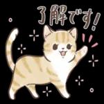 毎日使える♡大人可愛い