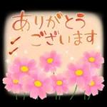 秋の定番❤️毎日使える優しい日常