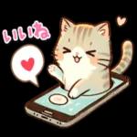 かわいい猫😺が来ますよ！