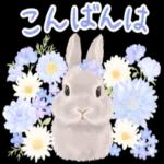 かわいらしい小さな花だ