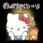 よろしくお願いしますo(*////▽////*)q