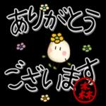 今でもあなたは私の光🌟