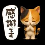 ゆるふわ三毛猫の日常会話
