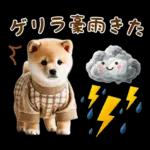 今日も頑張ったね！！