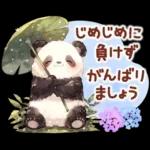 แพนด้าด้วยความเคารพ