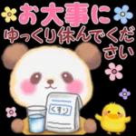 Babyパンダさん「長文」