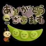 気遣い♡かわいい動物３D夏