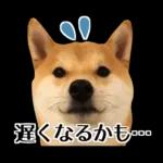 Premium 柴犬こてつ君*スタンプ第二弾